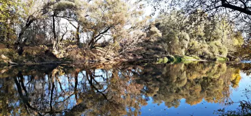 Sajókeresztúri Halastó - Galéria kép