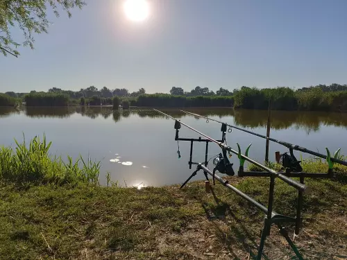 Horgászhely: Pötrétei Horgásztavak