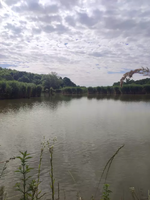 Verpeléti Horgásztó - Galéria kép