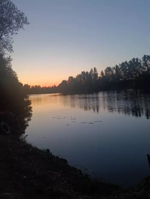 Horgászhely: Süllős bányató