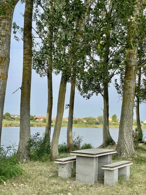 Nagy‑Morotva holtág - Galéria kép