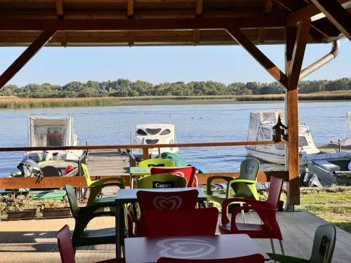 Fűzfa kikötő és pihenőpark - Galéria kép