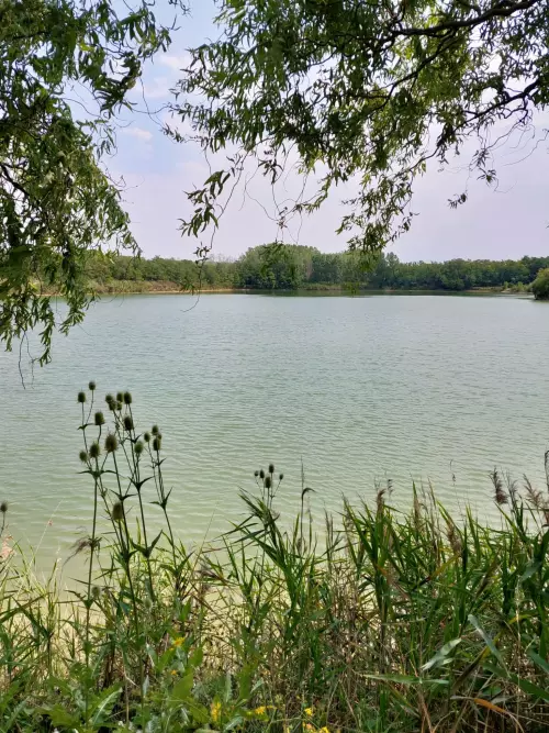 Horgászhely: Jocó Tanya és Villan-tó