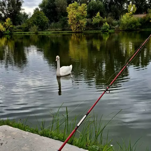 Kék tó - Galéria kép