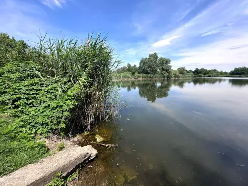 Tiszaladányi Holt-Tisza - Galéria kép