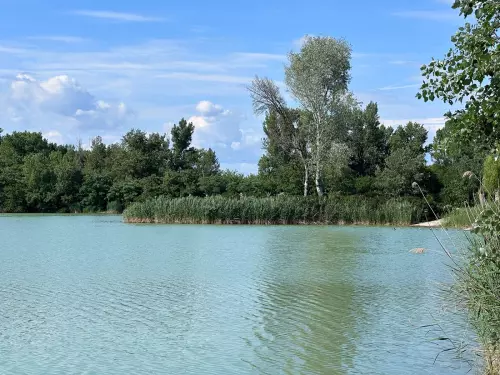 Tolnai-tó - Galéria kép