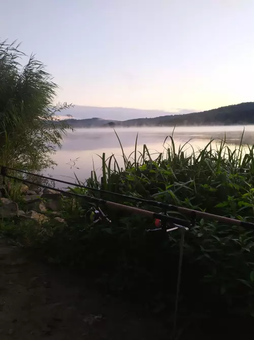 Horgászhely: Pécsi-tó