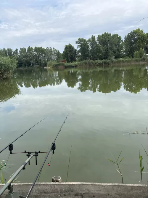 Horgászhely: Black Carp Lake