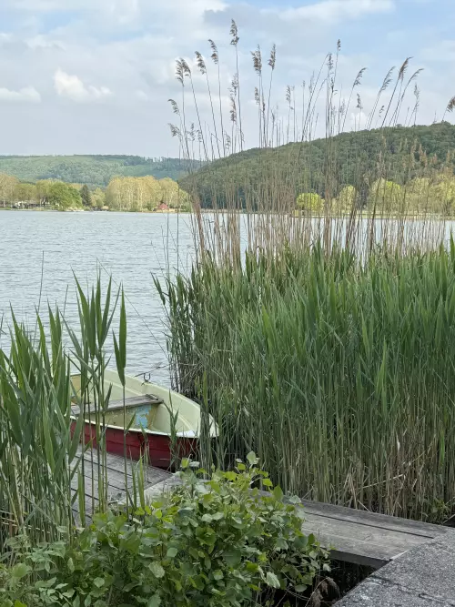 Pécsi-tó - Galéria kép