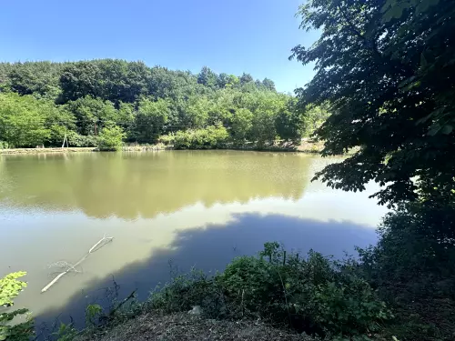 Felső tó - Galéria kép