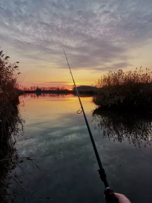 Gyálai Holt-Tisza - Galéria kép