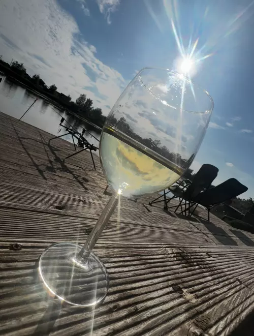 Fish World - Galéria kép