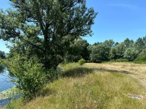 Szelesaknai horgásztavak - Galéria kép