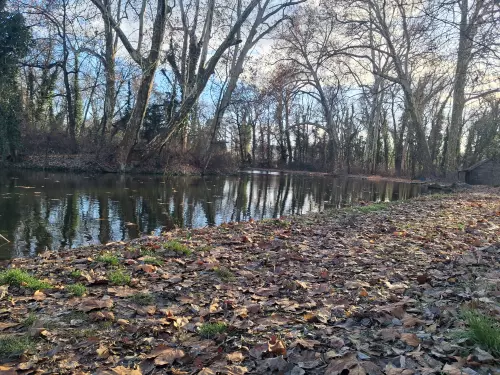 Gyermekvárosi-tó - Galéria kép