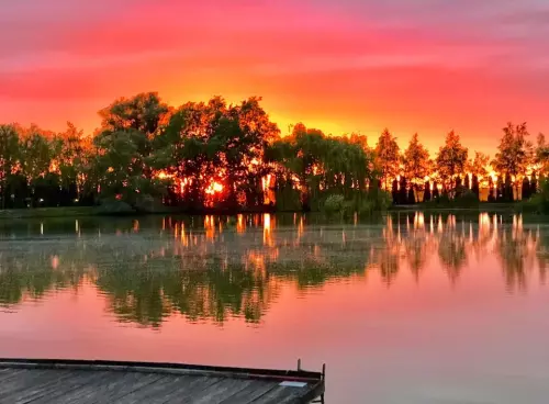 Strandi Horgásztó - Galéria kép