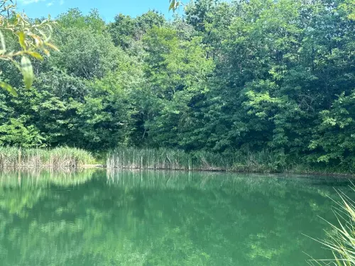 Ormosbányai bányató - Galéria kép