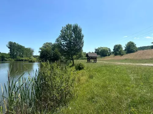 Kondói II. bányató - Galéria kép