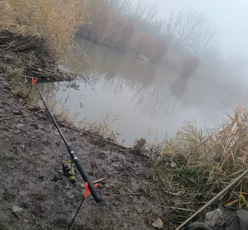 Kunság tava horgásztó - Galéria kép