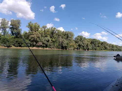 Horgászhely: Szajoli holtág