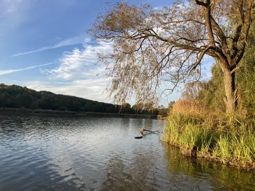 Kustánszegi-tó - Galéria kép