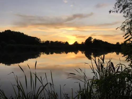 Tiszaalpári Holt-Tisza - Galéria kép