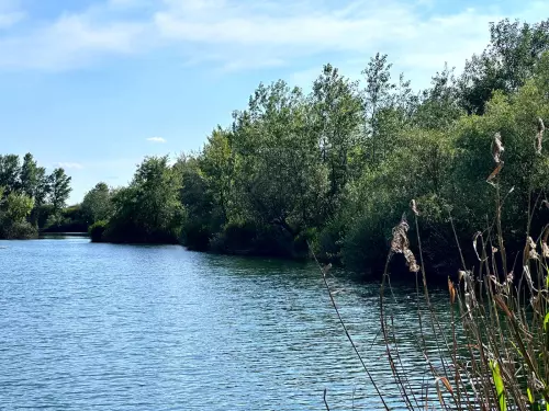 Csécsi-tó - Galéria kép