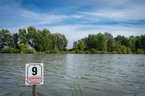 Gyékényes Horgásztó - Galéria kép