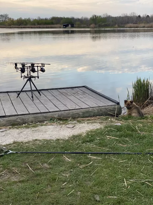 Battyán Carp Lake - Galéria kép