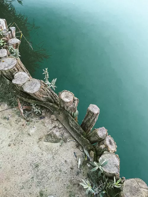 Deseda-tó - Galéria kép