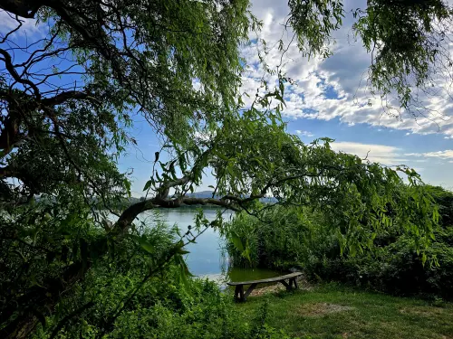 Nagybivalyos Horgásztó - Galéria kép