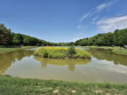 Györke-völgyi Horgásztó - Galéria kép
