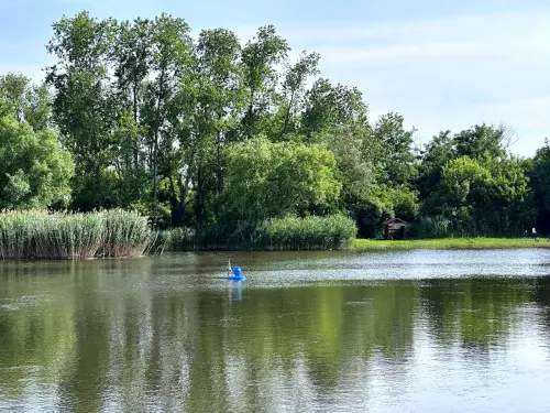 Homokos-tó - Galéria kép