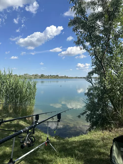 Horgászhely: Csaba-tó