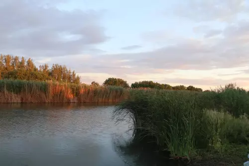 Nagykunsági Főcsatorna - Galéria kép