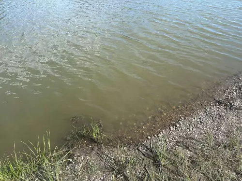 Örösi-tó - Galéria kép