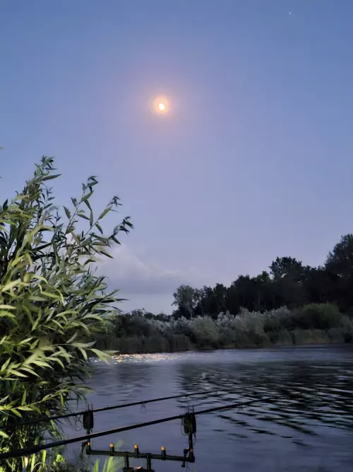 Horgászhely: Igarpusztai Halastavak