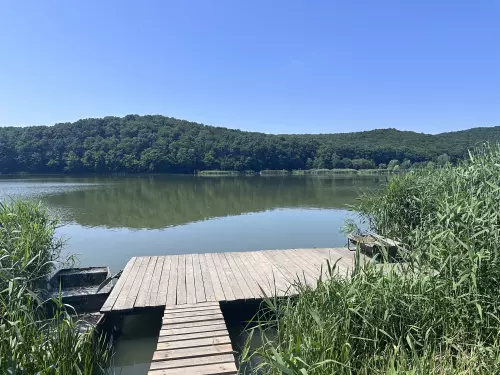 Horgászmódszerek: fenekezés, úszózás, pergetés magyarázata