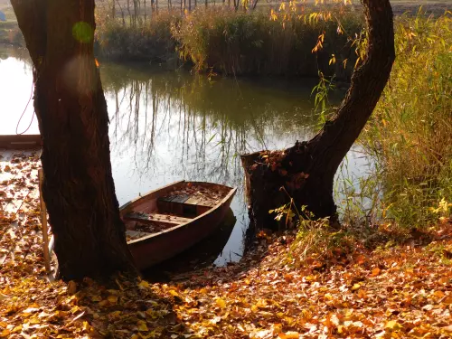Csengedi-holtág horgászhely képe – Kunszentmárton