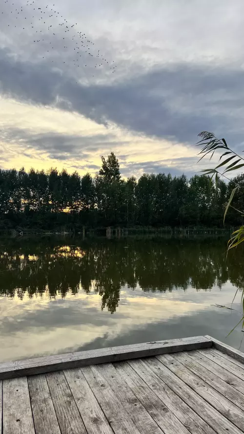 Fornádi Horgásztó - Galéria kép