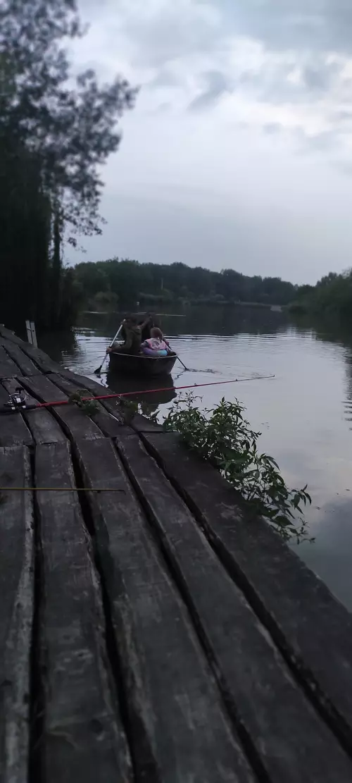 Szarvas-Békésszentandrási Holt-Körös - Galéria kép