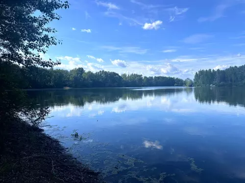 Erdészeti tó - Galéria kép