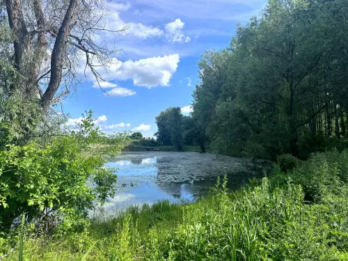 Berkes horgásztó - Galéria kép