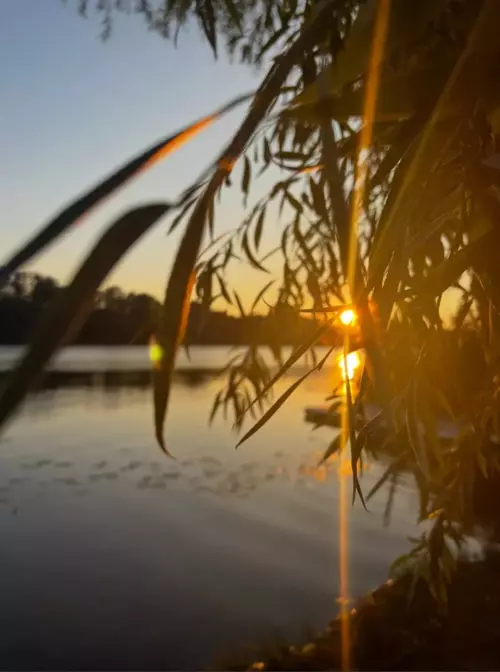 Horgászhely: Városi kikötő