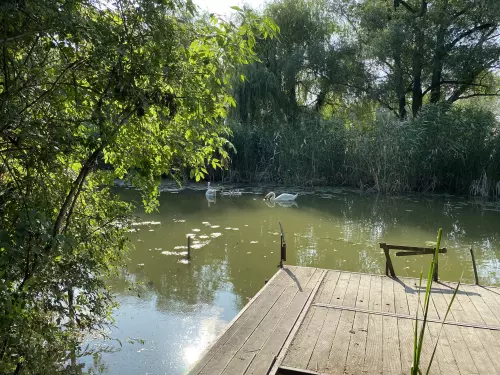 Ráckevei-Soroksári Duna - Galéria kép