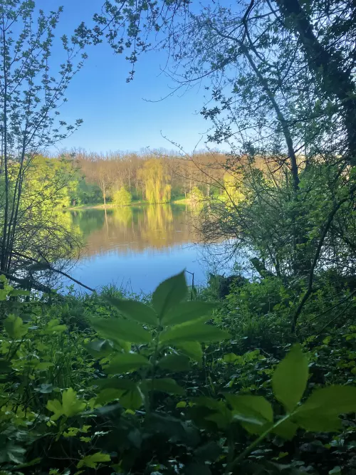 Felsőfarkasdi horgásztó - Galéria kép