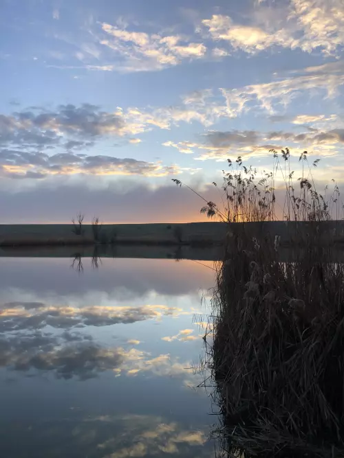 Zengő II. Horgásztó - Galéria kép