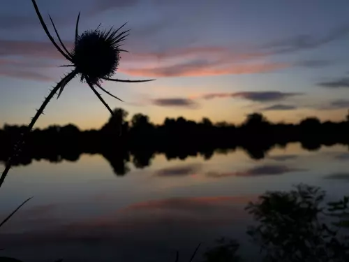 Tiszaalpári Holt-Tisza - Galéria kép