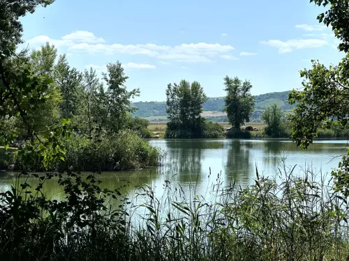 Sajószentpéteri halastó - Galéria kép