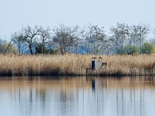 Balatonlellei partszakasz - Galéria kép