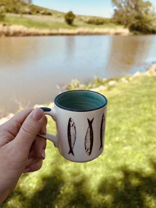 Diána és Zoltán horgásztó horgászhely képe – Alcsútdoboz